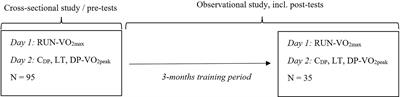 Relationships Between Maximal Aerobic Speed, Lactate Threshold, and Double Poling Velocity at Lactate Threshold in Cross-Country Skiers